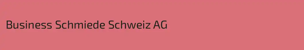 Business Schmiede Schweiz AG